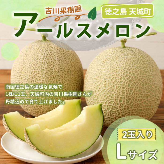 徳之島 天城町 吉川果樹園 アールスメロン Lサイズ 2玉 メロン マスクメロン
