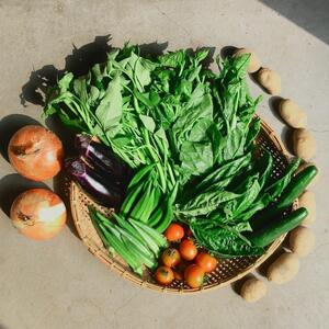 ◆全12回定期便◆【つくだ農園】《有機JAS認証 有機野菜10品入り》京都の棚田大原で心を込めて大切に露地栽培された大地の恵みたっぷりの有機野菜!［ 有機野菜 京都 野菜 有機栽培 定期便 セット 季