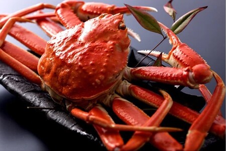 【厳選】茹で松葉蟹 7L(1200g前後)×2杯　★11月15日頃～12月お届け 蟹