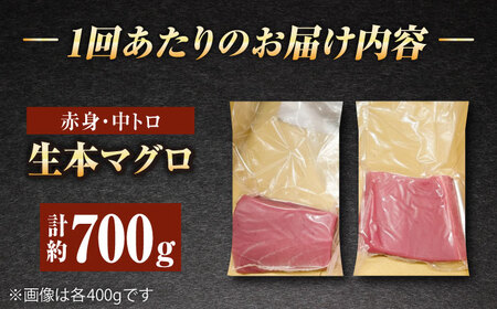 【全3回定期便】五島列島産養殖生本かみまぐろ 赤身 中トロ 計約700g[RBP067] 本マグロ 本まぐろ 定期便 本マグロ 本まぐろ 定期便 本マグロ 本まぐろ 定期便九州 長崎