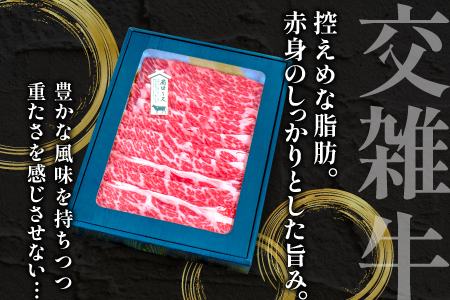 B-1198 松永牧場牛（交雑牛）肩ロース すき焼き 500g