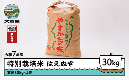 新米 米 はえぬき 30kg 令和7年産 【2026年2月下旬発送】大石田町産 特別栽培米 玄米 備蓄 防災 支援 農家 キャンプ 長期保存 先行予約 ※沖縄・離島への配送不可 ja-hagxa30-2s