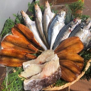 冷凍 ひもの 干物 5種 700g 以上 お任せ セット 天日干し / ひもの
