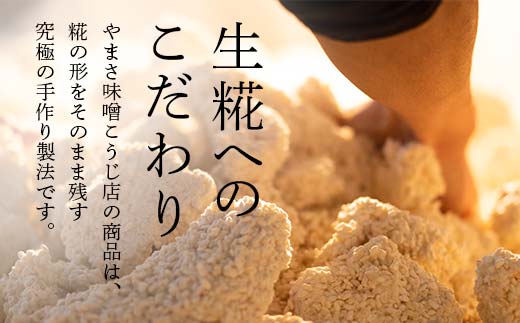 生きた酵素の米糀甘酒450g×6本 F6U-015