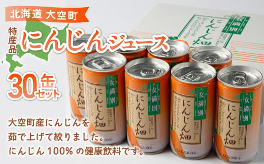 特産品にんじんジュース30缶セット（にんじん畑） 【 ふるさと納税 人気 おすすめ ランキング 野菜 野菜ジュース ジュース 飲料 トマト ニンジン 人参 にんじん 人参ジュース ニンジンジュース にんじんジュース 北海道 大空町 送料無料 】 OSA003