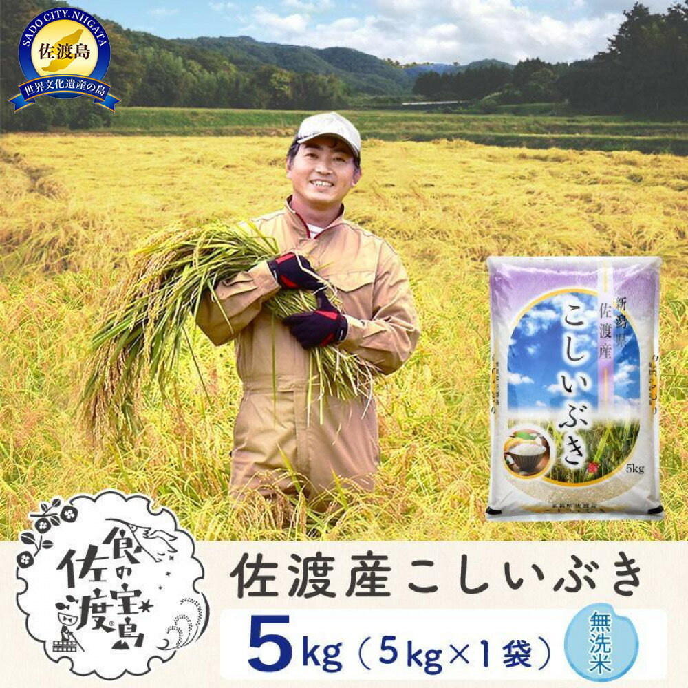 【ふるさと納税】佐渡島産こしいぶき 無洗米5Kg 令和7年 ～農薬5割減～ 農家直送 | お米 こめ 白米 食品 人気 おすすめ 送料無料