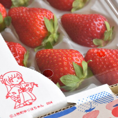 【ふるさと納税】朝摘み!ふるさと納税上牧町　奈良県高級ブランド苺「古都華」250g×4パック(2L以上)※2ケース【配送不可地域：離島・北海道・沖縄県】【1457225】