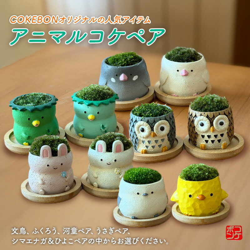 【ふるさと納税】アニマルコケペア アニマル 鉢 置物 インテリア 雑貨