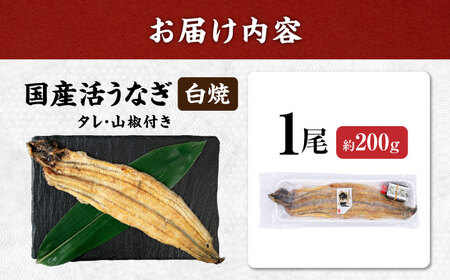 国産活うなぎ1尾（白焼） 滋賀県長浜市/株式会社魚三[AQDF010]