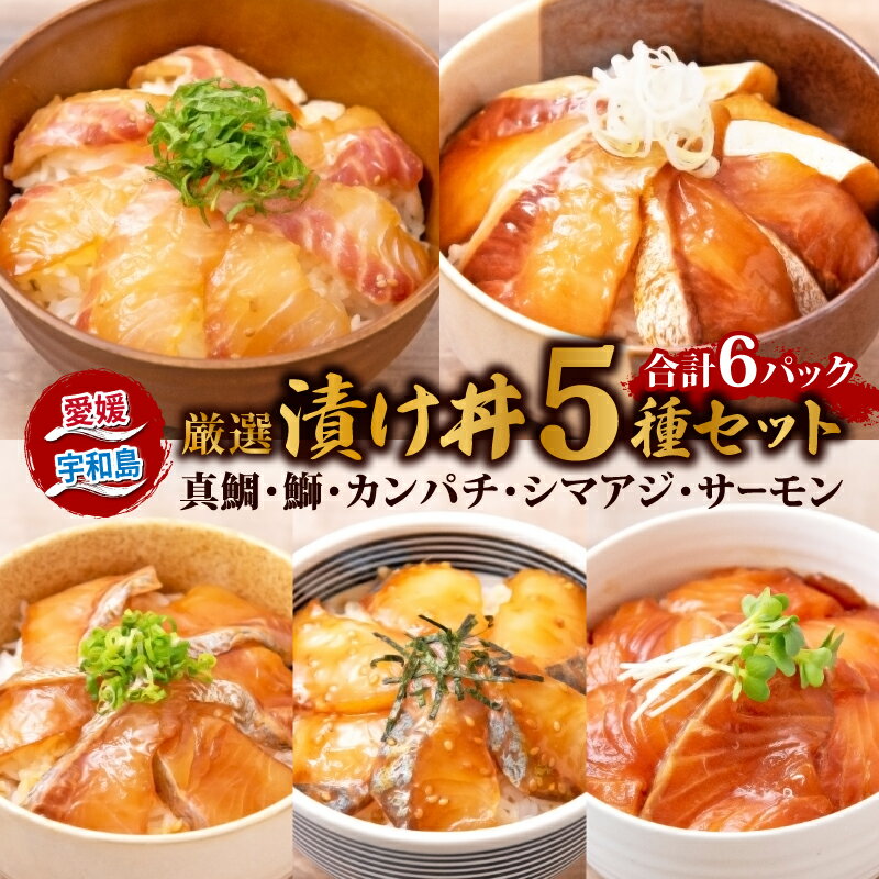 【ふるさと納税】 ＼10営業日以内発送／ 漬丼 厳選 活締め 5種 漬け丼 6食 セット 南予ビージョイ 鮭 サーモン 鰤 ブリ 真鯛 鯛 カンパチ 縞鯵 シマアジ 鯵 あじ 漬け丼 づけ丼 人気 加工品 魚 海鮮 漬け丼 新鮮 鮮魚 漬け 丼ぶり 刺身 海鮮丼 国産 愛媛 宇和島 D010-150005