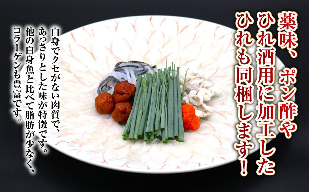 【7営業日以内発送】長崎とらふぐ刺身2人前 ／ ふぐ 刺し身 さしみ 鮮魚 魚介 新鮮 産地直送 フグ 海鮮 ふぐ刺し 長崎県 長崎市