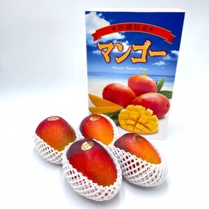 【2026年7月から順次発送・化粧箱】中城果樹園の完熟マンゴー 秀品2.0kg(4～6玉)【配送不可地域：離島】【1673414】