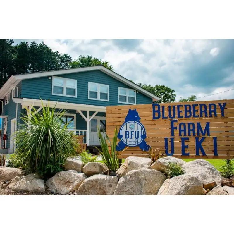 BULE BERRY FARM UEKI 施設利用券 10０００円分