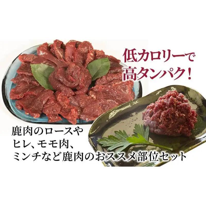 シカ肉 伊豆産 食べ比べ セット 3kg ジビエ 鹿肉 シカ肉
