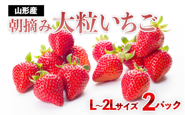 
                  真っ赤に育った冬の贅沢！朝摘み大粒いちご☆ FZ23-439
                