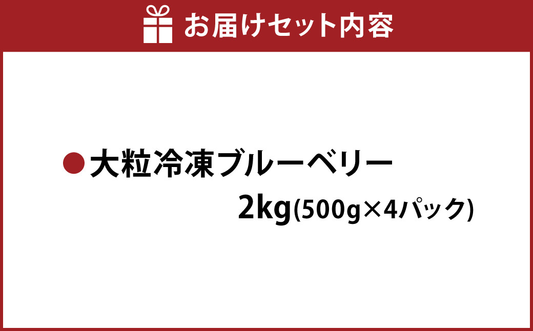 熊本県産 大粒 冷凍 ブルーベリー 2kg（500g×4パック）