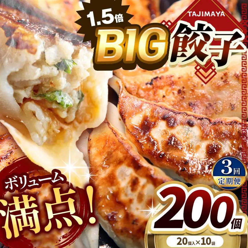 【定期便3回】たじまや オリジナル ビッグ 餃子 200個