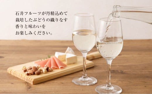 熊本宇城で育ったシャインマスカットを使った 「シャインマスカットワイン」 750ml×1本 ワイン 白ワイン シャインマスカット マスカット 辛口ワイン 辛口 シャルドネ 国産ワイン 九州 熊本県 常