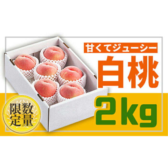 【ふるさと納税】《先行予約 2025年度発送》フルーツ王国山形♪白桃秀品2kg FSY-0426