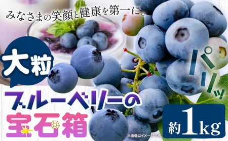 【2026年先行予約】ブルーベリー 大粒 1kg (250g×4パック) 大粒ブルーベリーの宝石箱 かさおか青空ファーム 《2026年6月上旬-8下旬頃出荷予定》 岡山県 笠岡市 送料無料 フルーツ 果物 岡山県産 国産 ブルーベリー 1キロ お取り寄せ st-p
