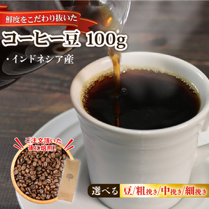 コーヒー豆 100g インドネシア ＼ コーヒー ／