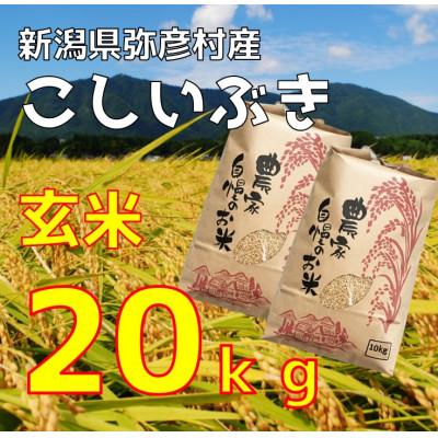 ふるさと納税 弥彦村 新潟県弥彦村石井農園　令和7年産 こしいぶき【玄米 20kg】