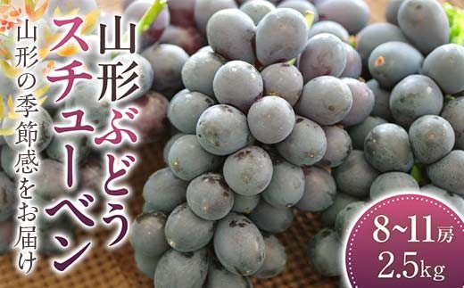 《2026年 先行予約》 スチューベン ぶどう 8～11房 2.5kg【2026年9月から発送】 ブドウ 葡萄 デザート フルーツ 果物 くだもの 果実 食品 山形県 FSY-2412