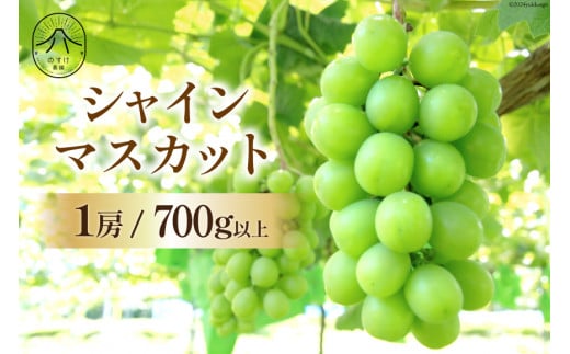 【2025年発送】【胸キュンをお届け】シャインマスカット1房 700g以上 [のすけ農園 山梨県 韮崎市 20742917] マスカット シャインマスカット 果物 フルーツ 葡萄 ぶどう ブドウ シャイン 山梨 期間限定 季節限定 数量限定