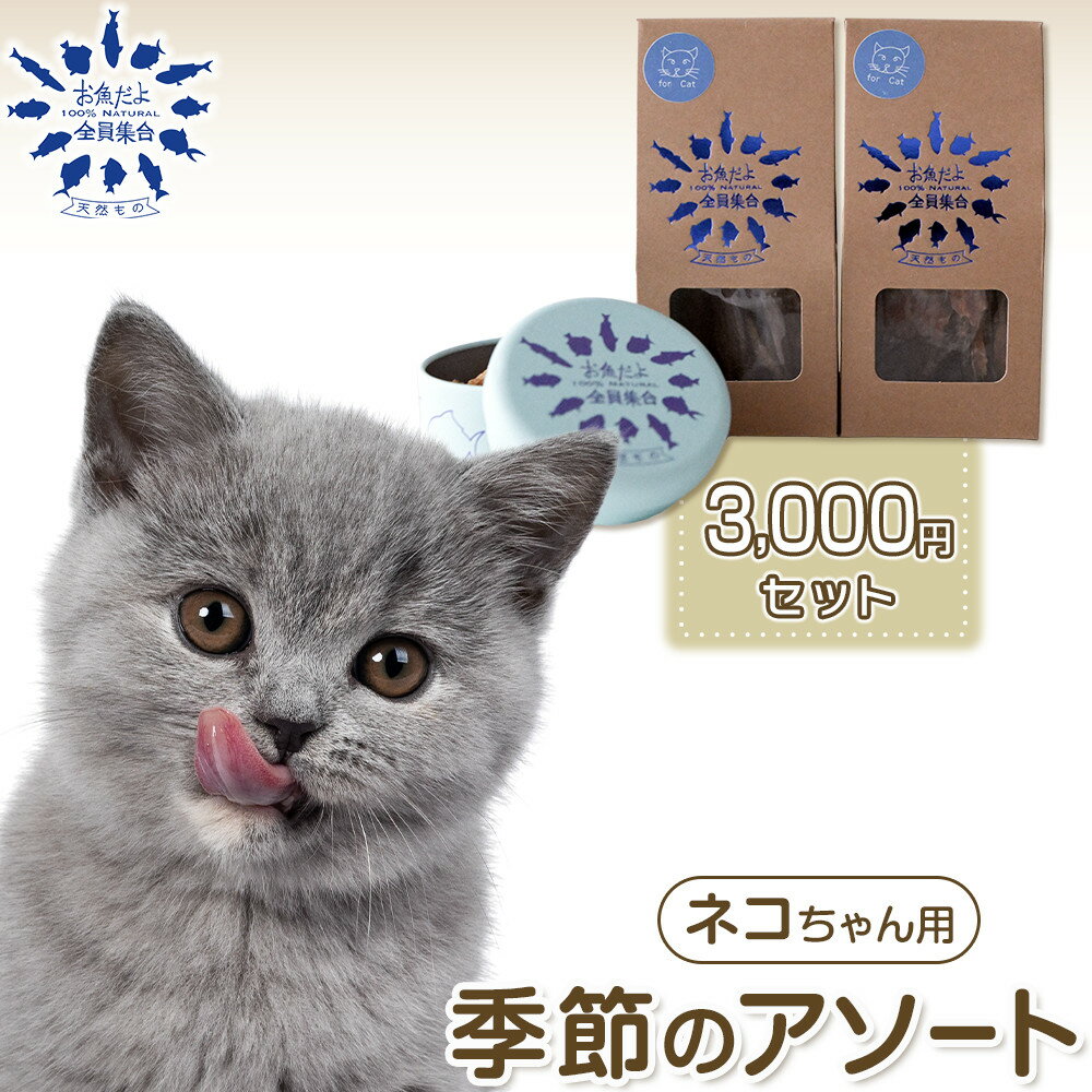 【ふるさと納税】お魚だよ全員集合　季節のアソートセット 3,000円セット　ネコちゃん用 | ペット おやつ 猫 ペットフード 魚 お魚 さかな 食品 人気 おすすめ 送料無料