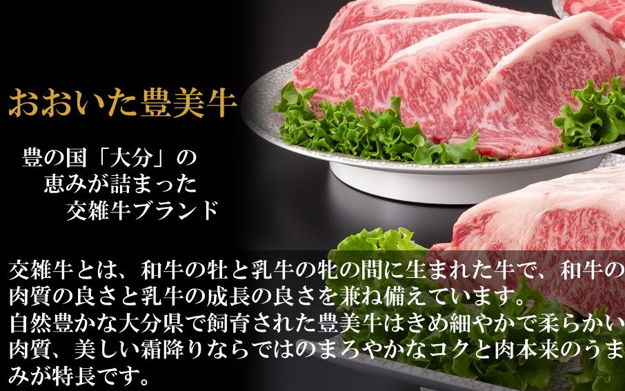 おおいた豊美牛ローススライス 300g_2261R_イメージ3