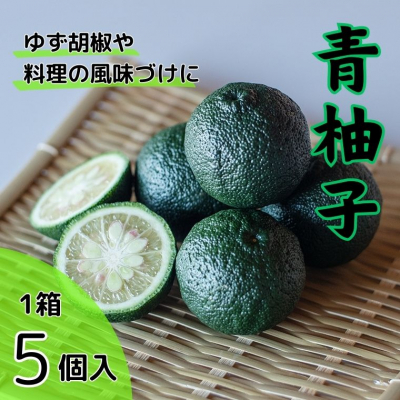 青柚子(5個入)　《8月上旬-8月末頃発送》【配送不可地域あり】※離島 ---sanagouchi_lcl_17_1hk---