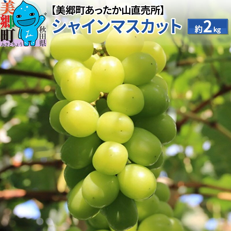 【ふるさと納税】シャインマスカット 約2kg