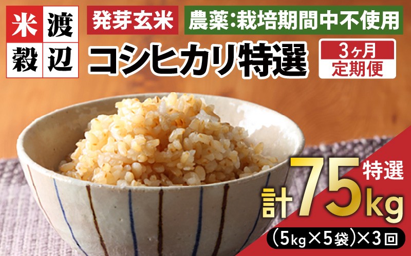 
                  【期間限定】【3ヶ月連続お届け】【令和7年産】発芽玄米 コシヒカリ「特選」特別栽培米使用 25kg（5kg×5袋）×3回（計75kg）【米 こしひかり 玄米 ギャバ GABA 特別栽培 食物繊維 栄養 真空パック ごはん ご飯 おいしい ふるさと納税米】 [Q-2902]
                