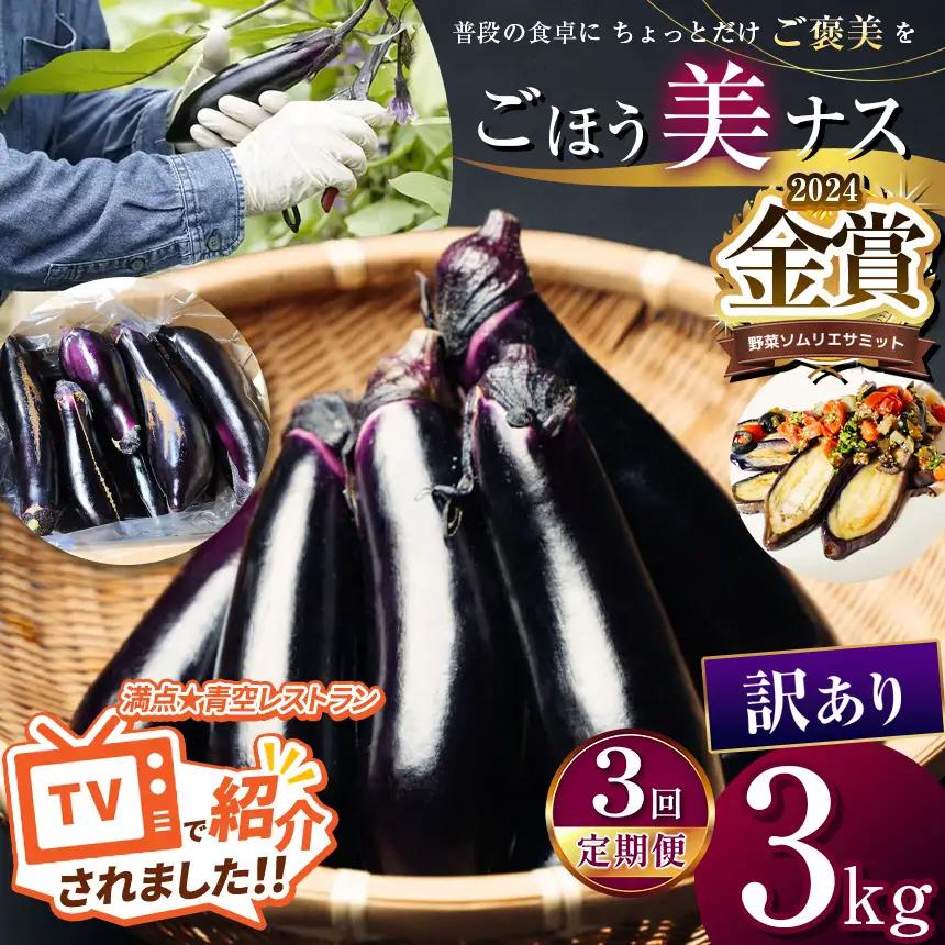 【定期便3回】農家さん応援！訳ありごほう美ナス 約3kg