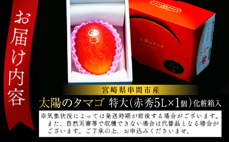 宮崎県串間市産 完熟マンゴー 太陽のタマゴ 特大(5L×1個) 果物 フルーツ デザート スイーツ マンゴー 太陽のたまご ギフト 贈り物 贈答 プレゼント おすすめ 特産品 お取り寄せ 化粧箱入り 串間市 _K008-025