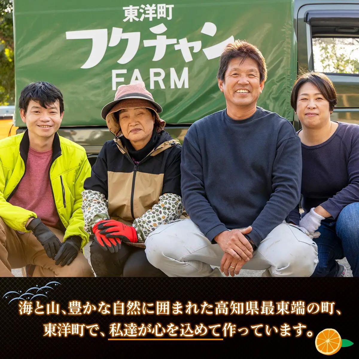 《受取日指定可》ぽんかんケンピ 10袋セット  F146 【株式会社フクチャンFARM】