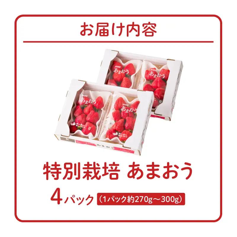 【2026年11月から順次発送】特別栽培あまおう 4パック ふくおかエコ農産物_いちご あまおう 果物 フルーツ〔Fi003〕