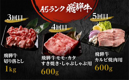 定期便 5回 A5飛騨牛 ご褒美 | 定期便