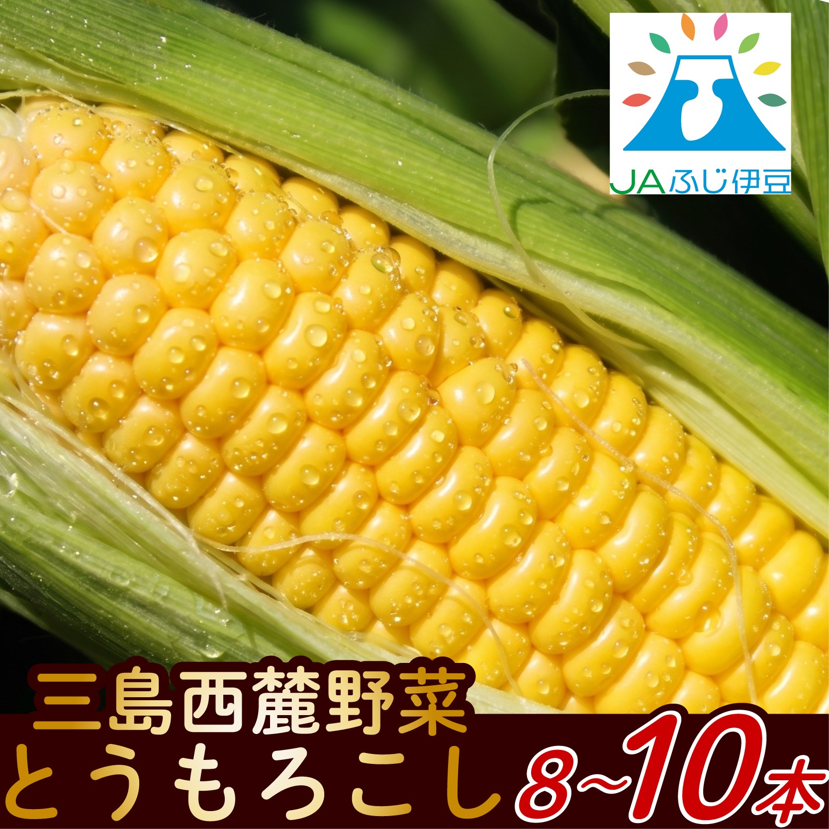 
                  【先行予約2026年6月上旬より順次発送】 三島 とうもろこし ゴールドラッシュ 8本～10本 前島農園 のうみんず 野菜 夏野菜 トウモロコシ コーン 朝採れ 新鮮 甘い 自然 おいしい 美味しい おすすめ 特産品 名産 贈り物 ギフト みしまるかん JA 三島市 静岡県
                
