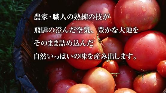 下呂温泉トマトジュースセット 野菜飲料 とまと【12-1】