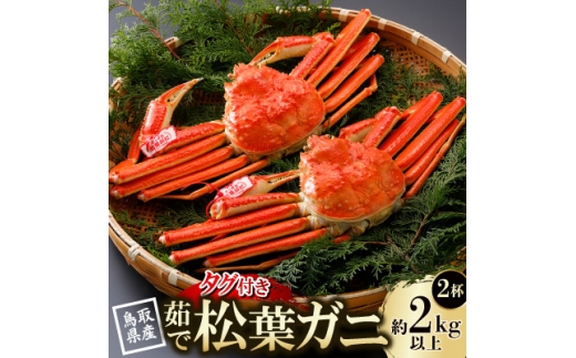 ＜先行予約＞鳥取県産 タグ付き 茹 松葉がに 1kg以上×2杯(中村商店)2026年11月発送【1654006】