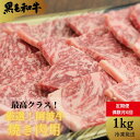 【ふるさと納税】 【定期便 偶数月6回】焼肉 計 6kg 1kg×6回 冷凍 徳島県 国産 黒毛和牛 阿波牛 ロース モモ バラ 焼肉 BBQ バーベキュー ※配達指定不可