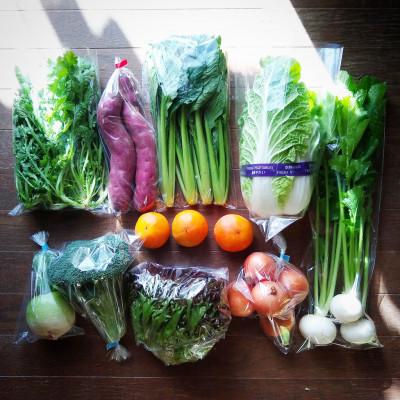 ふるさと納税 豊能町 おまかせ野菜セット(2026年11月上旬〜発送予定) |  | 01