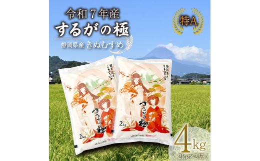 【令和7年産米】 するがの極 4kg 2kg × 2袋 特A ラブライブ！サンシャイン!! デザイン 米 こめ お米 白米 精米 ご飯 おにぎり 弁当 JA ブランド米 きぬむすめ 長泉町 静岡 静岡