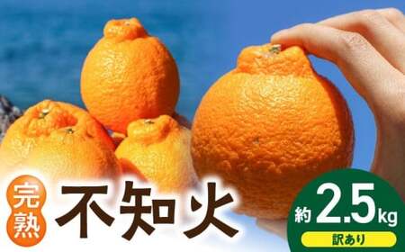 【2027年先行予約】【訳あり・ご家庭用】 和歌山県産 完熟 不知火 2.5kg 甘酸っぱい味わいと芳醇な風味がたまらない高級柑橘!_EA6020n