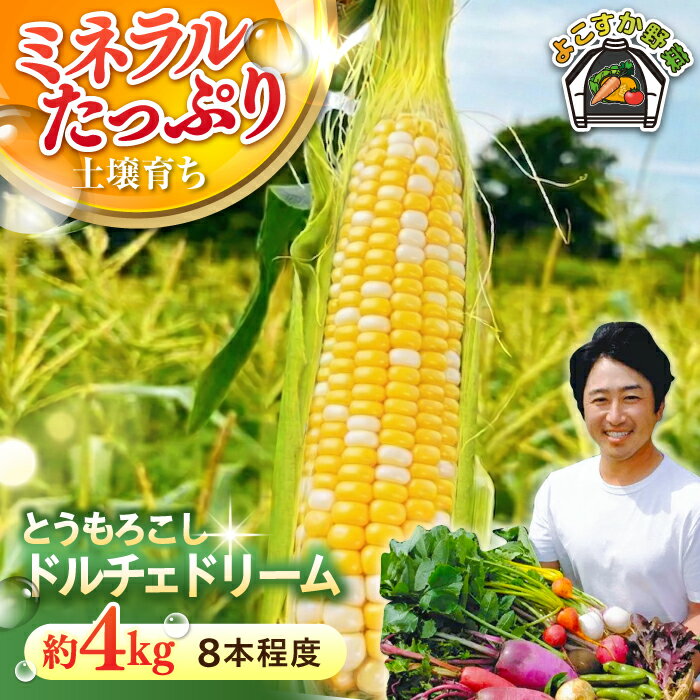 【ふるさと納税】【先行予約】【数量限定100セット】とうもろこし　ドルチェドリーム　下処理済み　8本程度　約4kg（7月〜8月）【鈴也ファーム】[AKCE026]