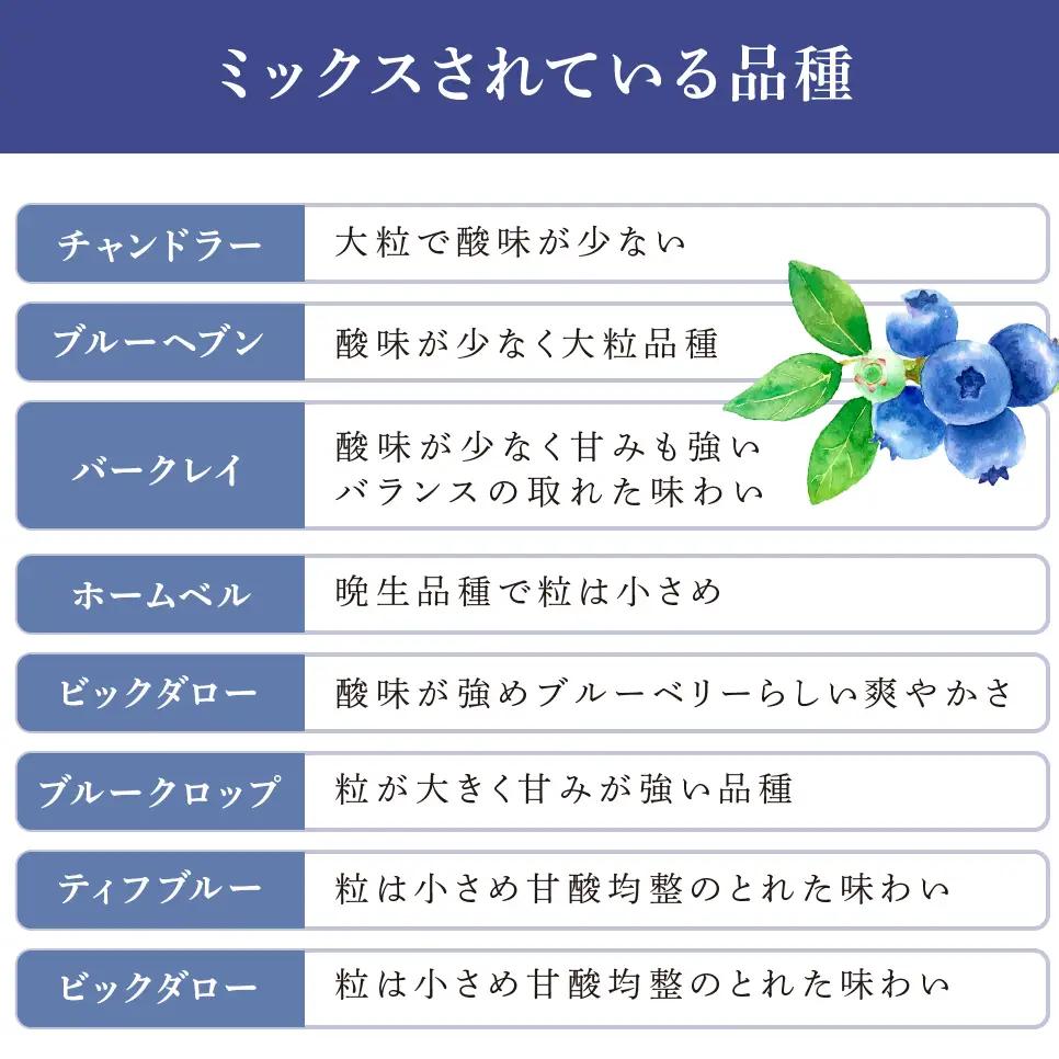 ブルーベリー 1kg 8品種 冷蔵 大粒 小粒 北海道