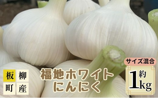 
                  サイズ混合にんにく約1kg（8～15玉程度）
                