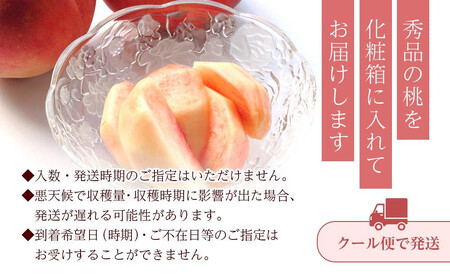 〈2026年7月下旬以降発〉川中島白桃 5～8玉入り 【秀品】桃