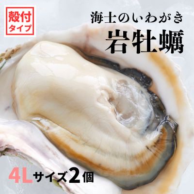 【ふるさと納税】【いわがき 殻付き4Lサイズ 2個】海士のいわがき 岩牡蠣 生食可 冷凍 牡蛎 牡蠣 かき カキ 岩牡蠣 いわがき 冷凍 父の日 母の日 バーベキュー ギフト